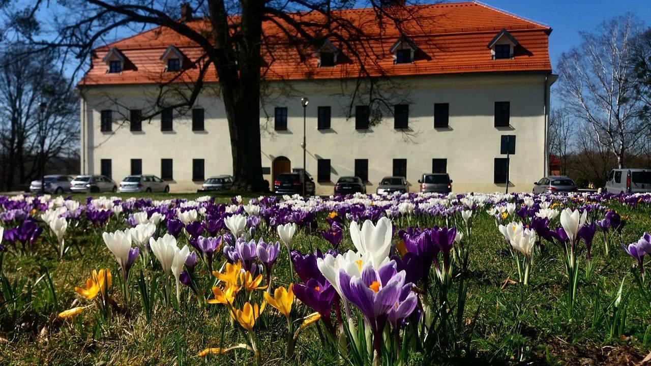 Zamek Havirov Hotell Exteriör bild
